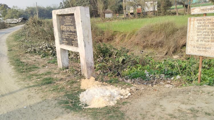 चावल में कीड़ा मिलने पर हड़कंप, बच्चों ने फेंका मध्याह्न भोजन