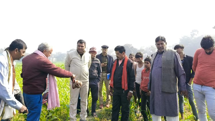 पूर्व सरपंच के घर से 20 लाख की चोरी