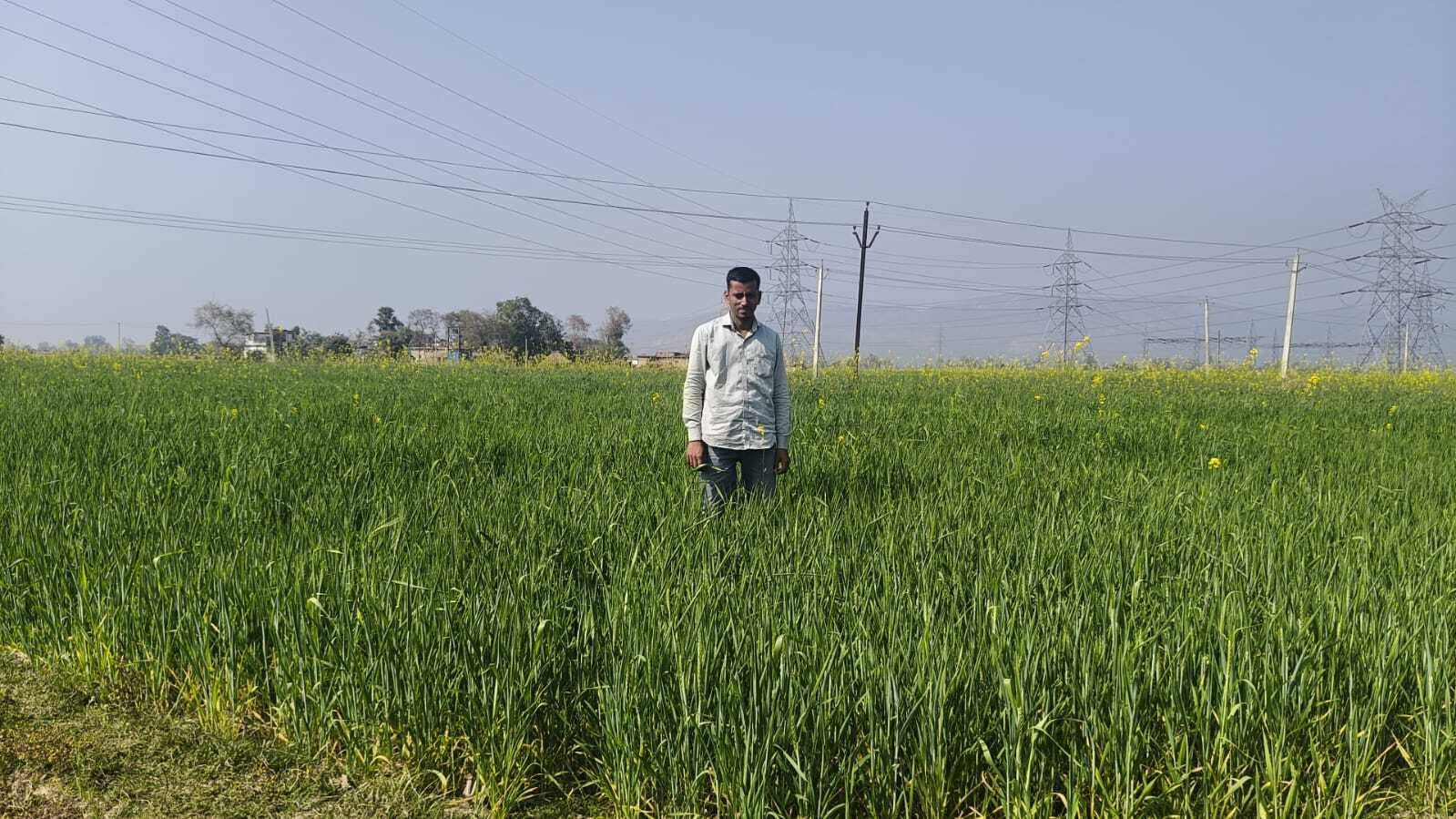 कुकुरझप डैम में घटते जलस्तर से सिंचाई प्रभावित, किसान परेशान