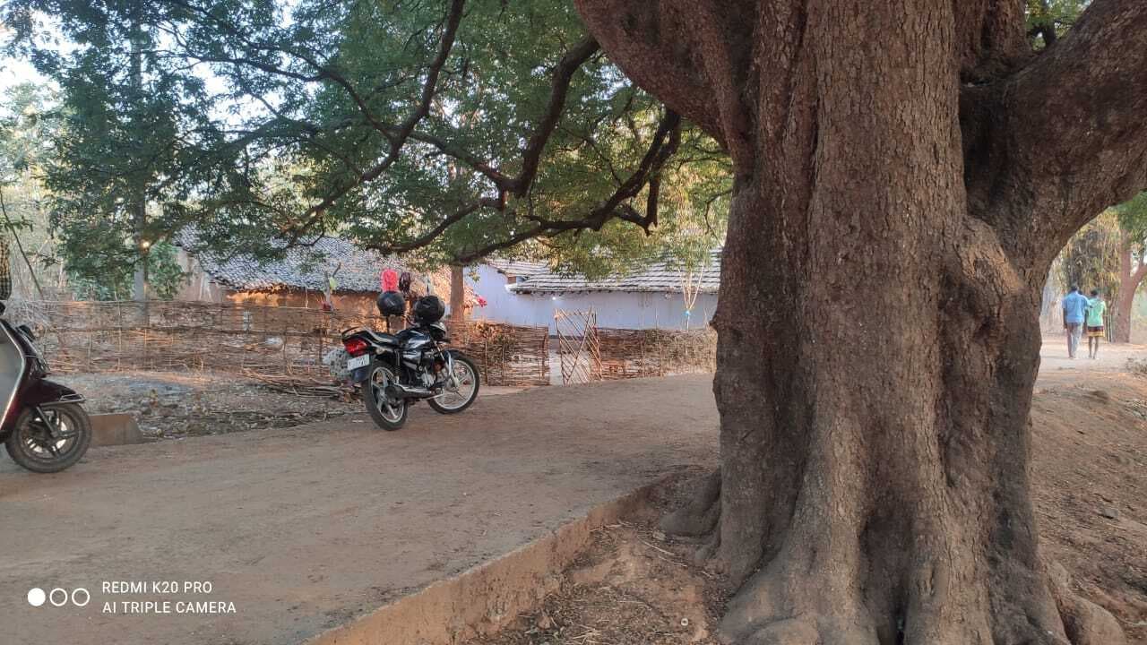 Chaibasa News : चाचा की पांच बीघा जमीन पर थी भतीजे की नजर डायन बता ग्रामीणों को भड़काकर जिंदा जलाया