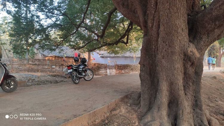 Chaibasa News : चाचा की पांच बीघा जमीन पर थी भतीजे की नजर डायन बता ग्रामीणों को भड़काकर जिंदा जलाया