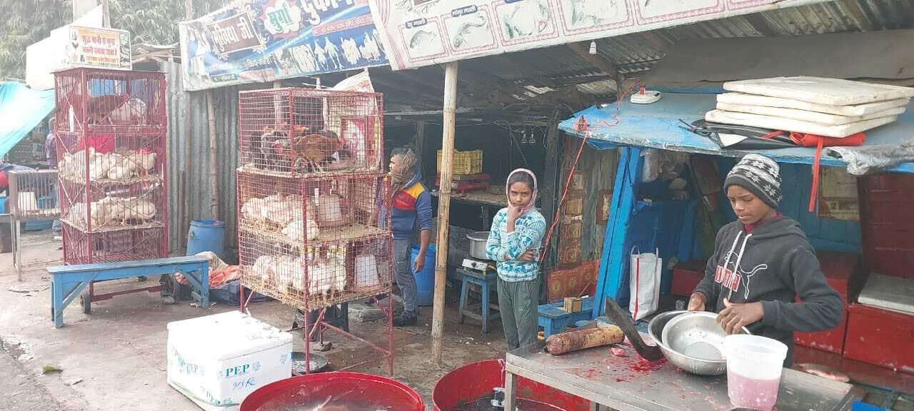 शहर में बिना अनुज्ञप्ति के हो रहा अधिकांश मीट मछली का संचालन