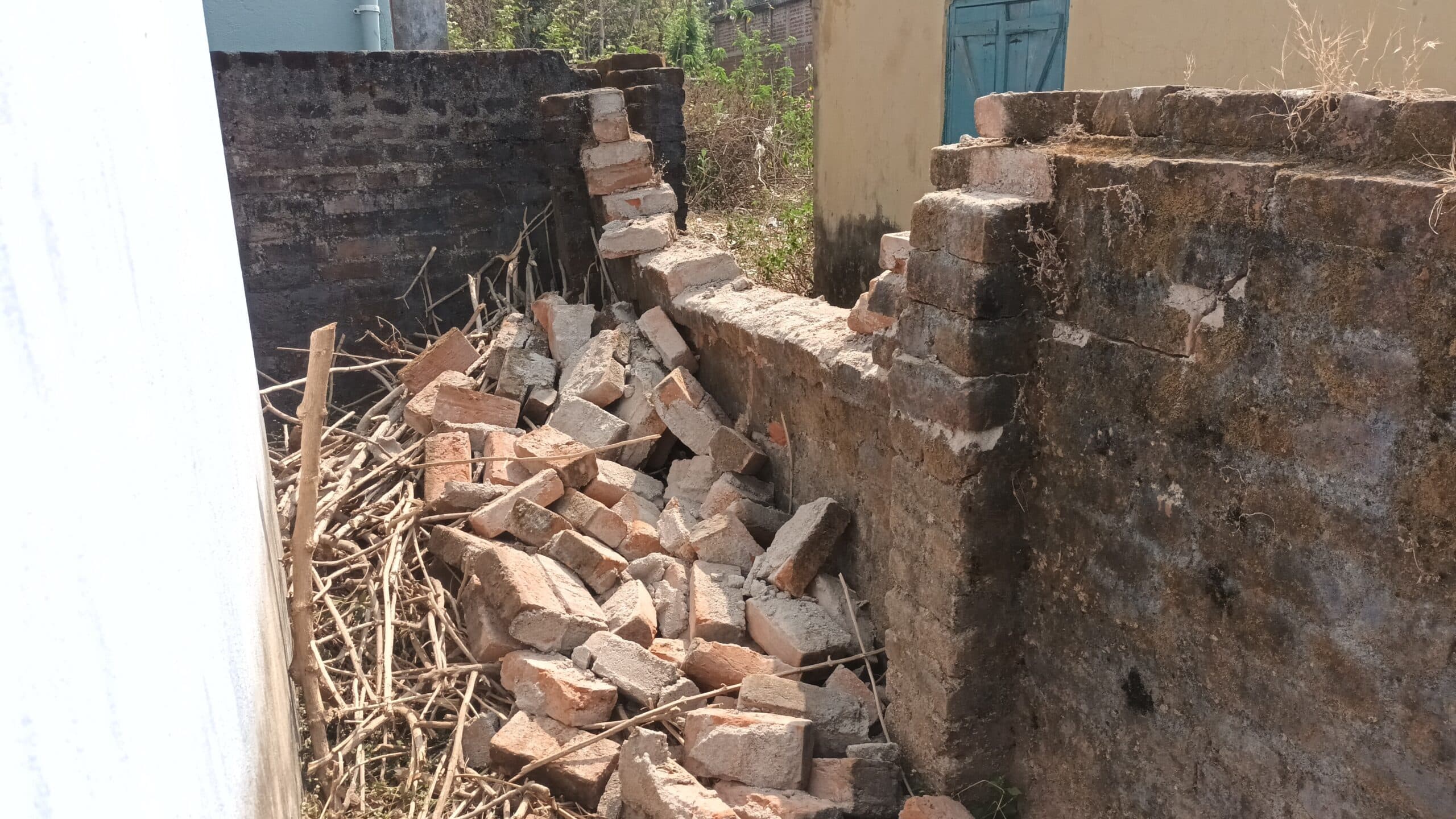 तोरपा शहरी क्षेत्र में घुसा जंगली हाथी