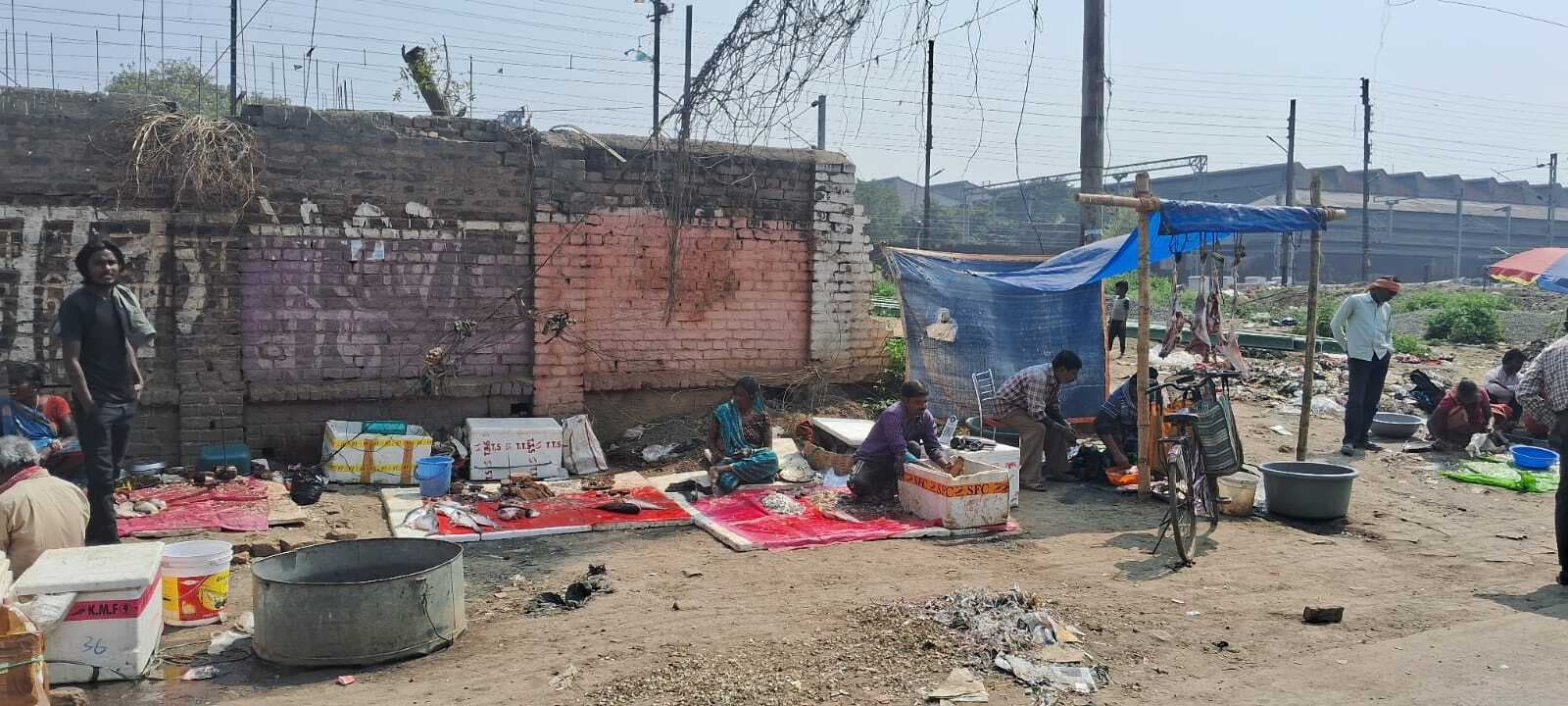 प्रतिबंध के बावजूद नगर परिषद क्षेत्र में खुले में हो रही मांस-मछली की बिक्री