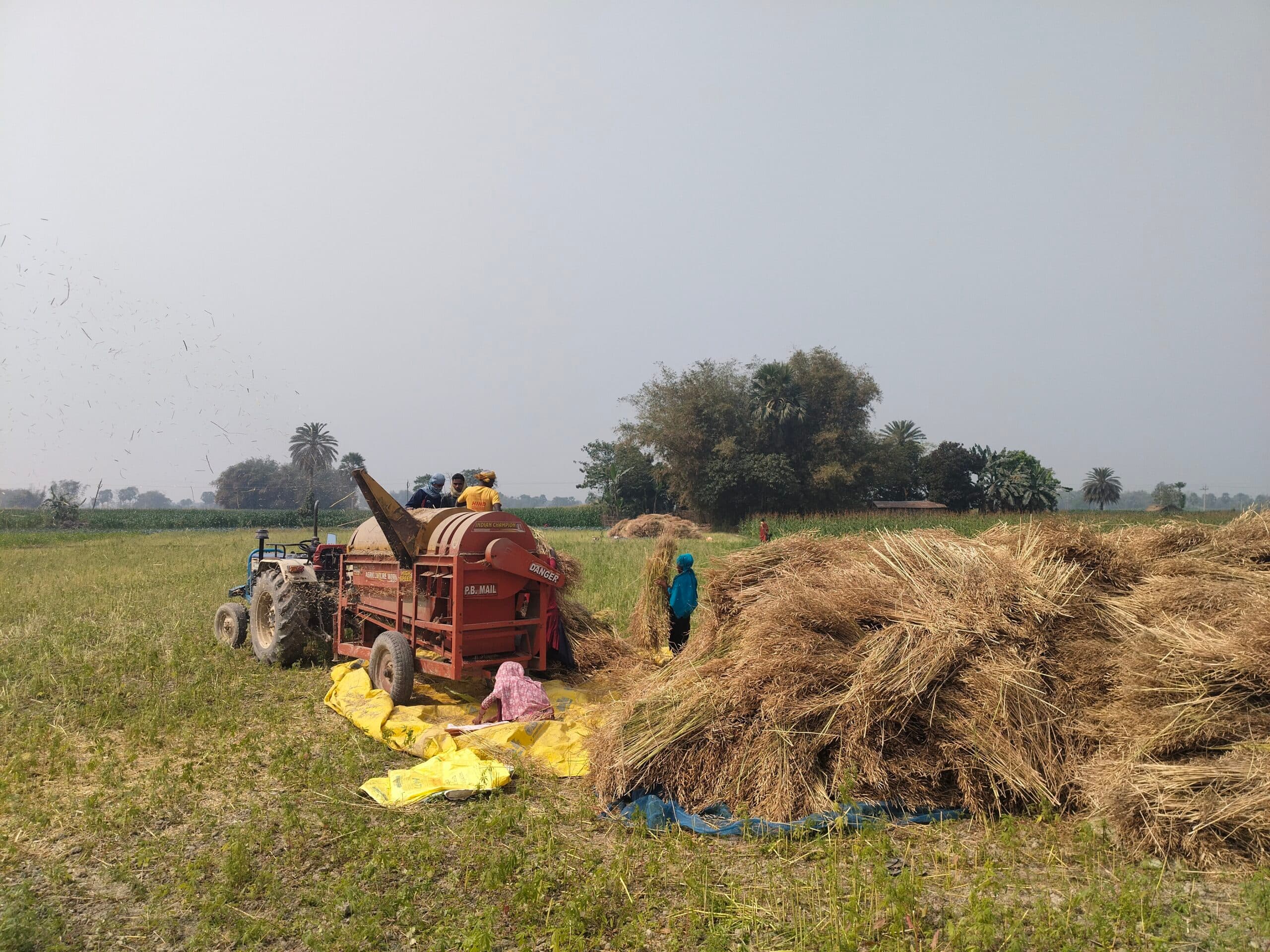 मशीनों से तैयार हो रही फसल, अब मखाना की खेती की तैयारी