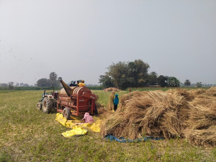 मशीनों से तैयार हो रही फसल, अब मखाना की खेती की तैयारी