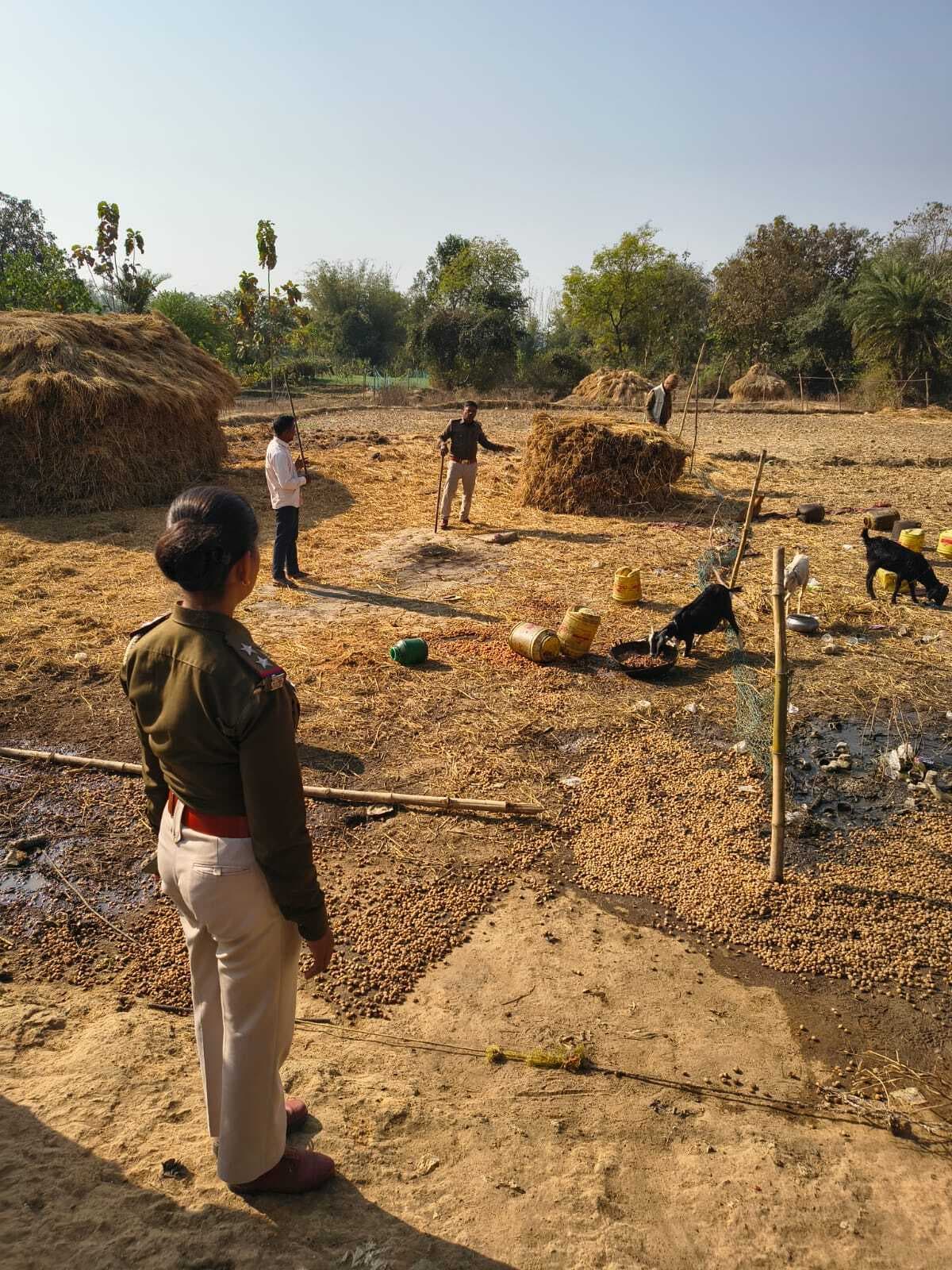 भारी मात्रा में फुलिया महुआ को किया नष्ट