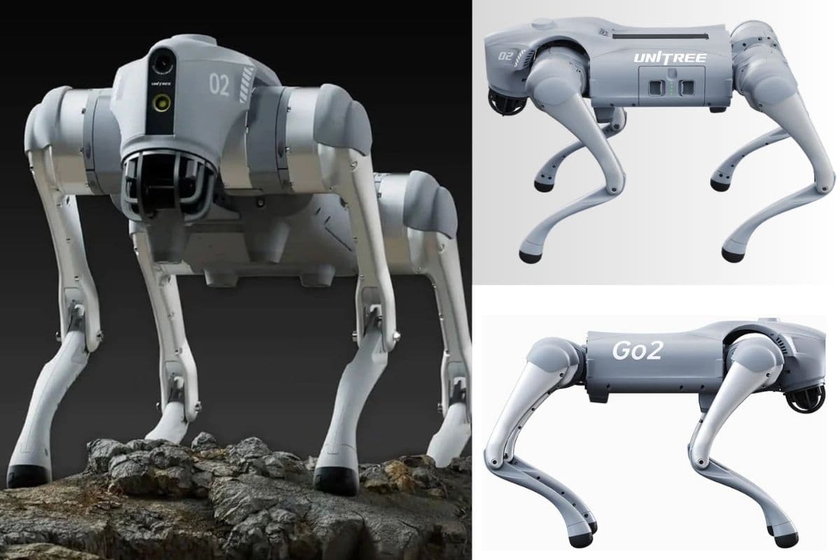 Orion या Unitree Go2! एआई समिट में विवाद की जड़ स्मार्ट रोबोट डॉग का असली सच क्या है?