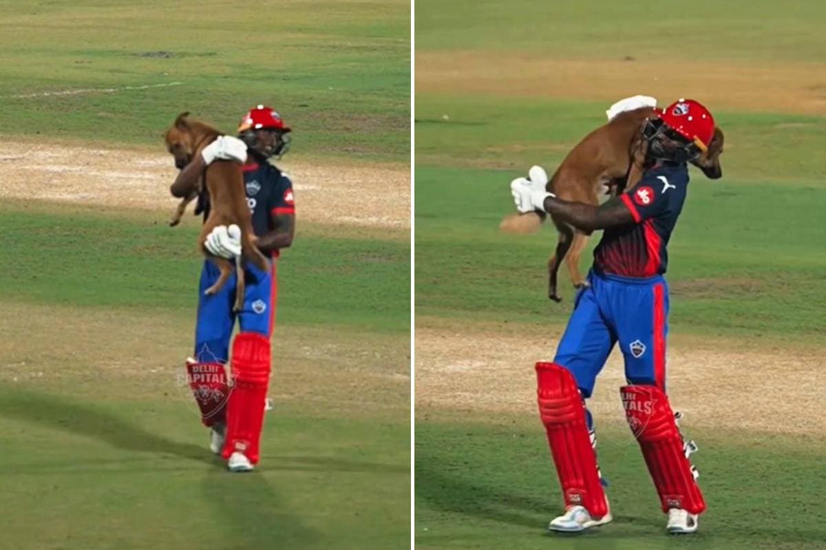 IPL 2026 Abhishek Porel with Dog IPL 2026 Abhishek Porel with Dog