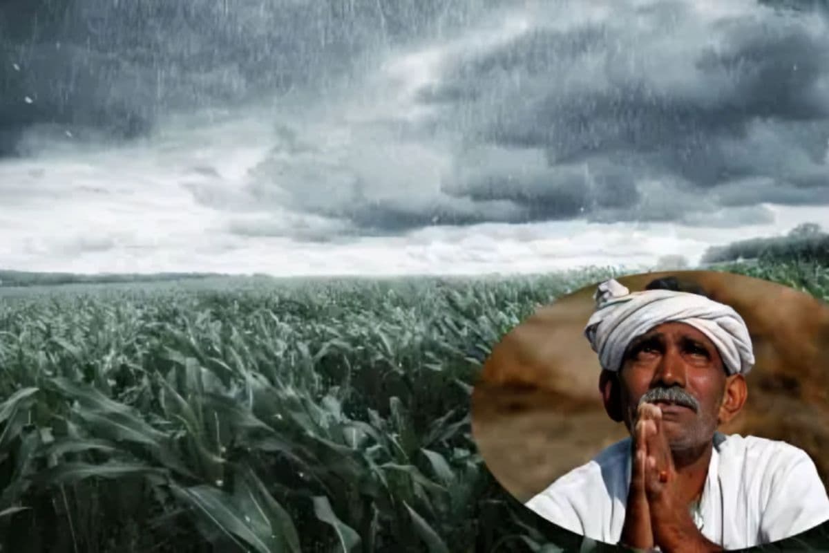 बिहार में बेमौसम बारिश से बर्बाद हुई फसलों का मिलेगा मुआवजा, होगा नुकसान का सर्वे?