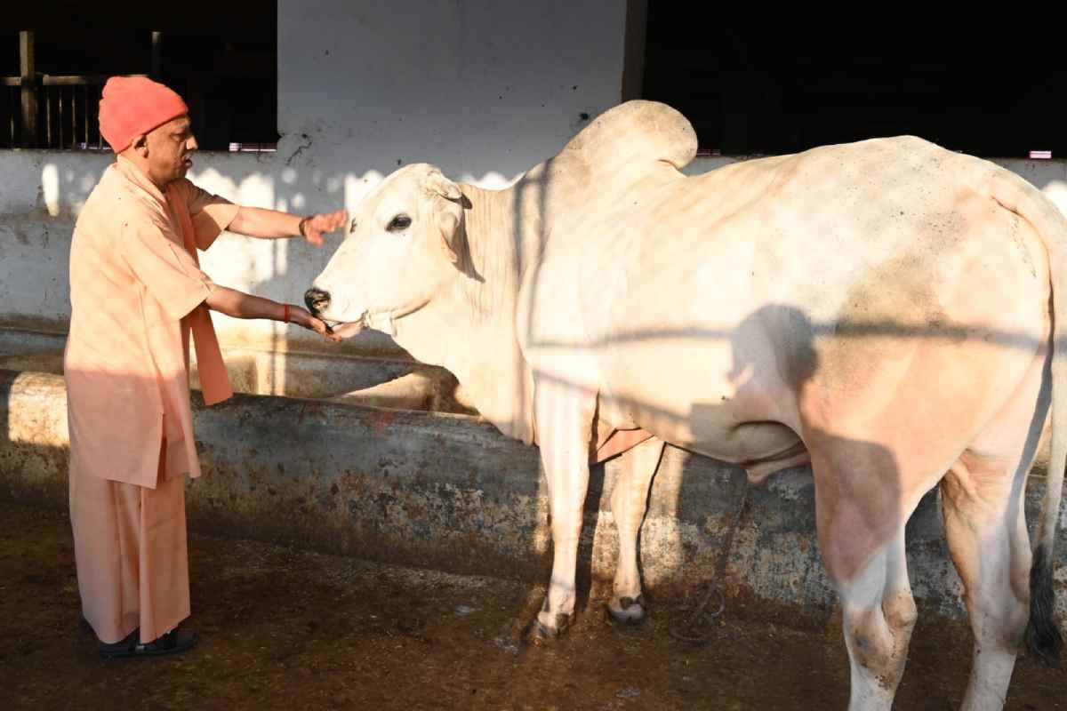 सीएम योगी ने कहा भोला, नंदी दौड़ा चला आया, देखें वीडियो