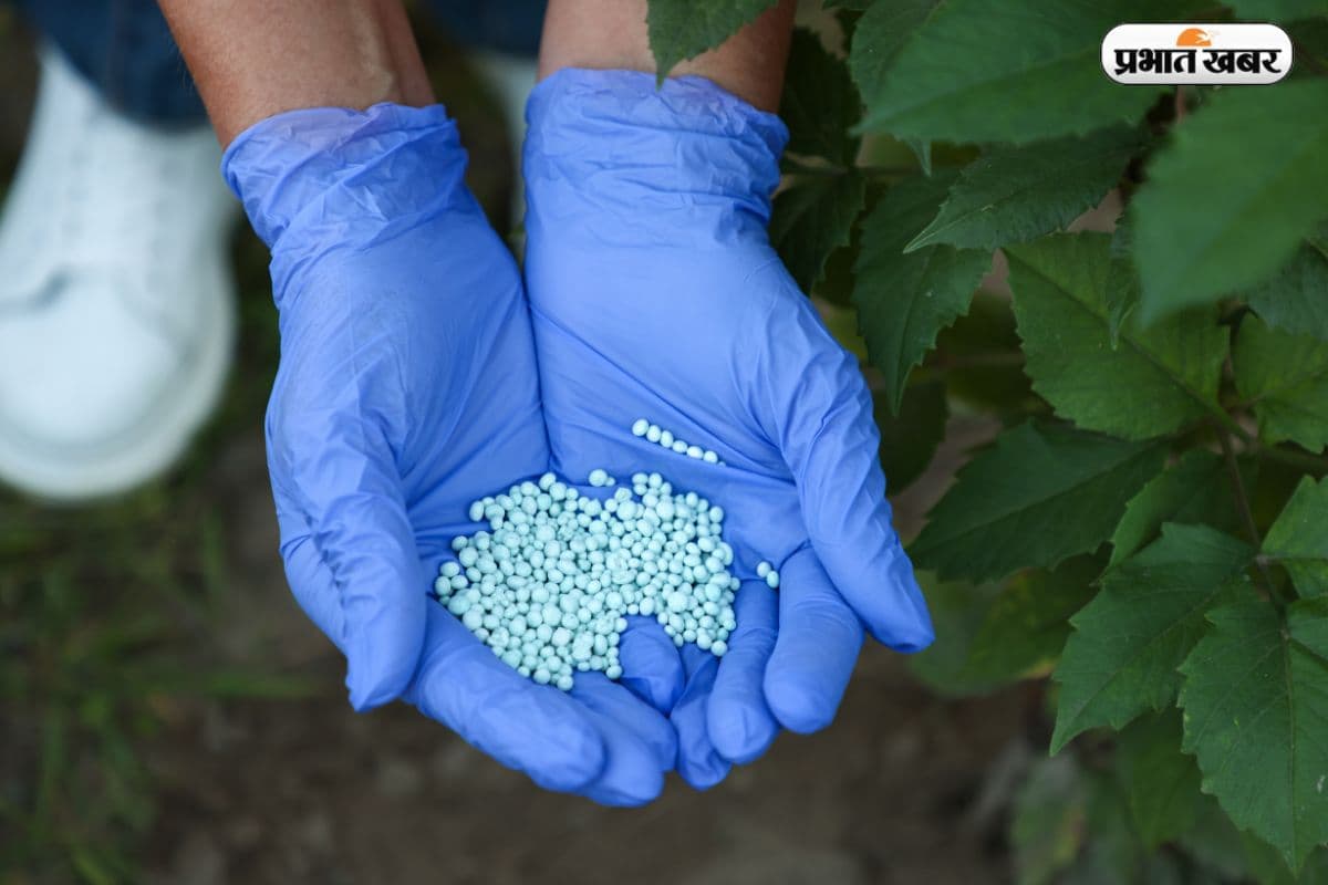 मिडिल ईस्ट के तनाव से क्या भारत में खाद (Fertilizer) महंगी होगी? जानिए किसान और कंपनियों पर इसका असर