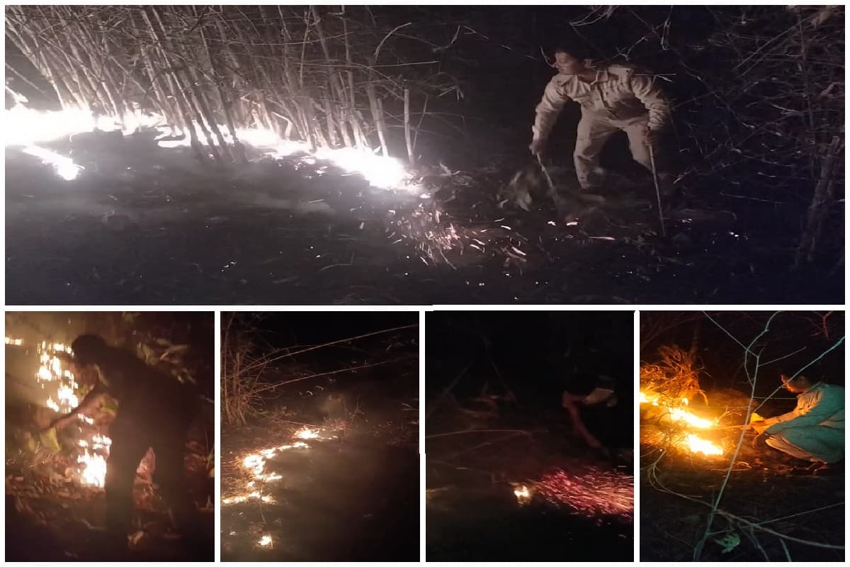 महुआ भड़का रहा झारखंड के जंगलों में आग, देवघर के डिगरिया पहाड़ की चोटी चपेट में