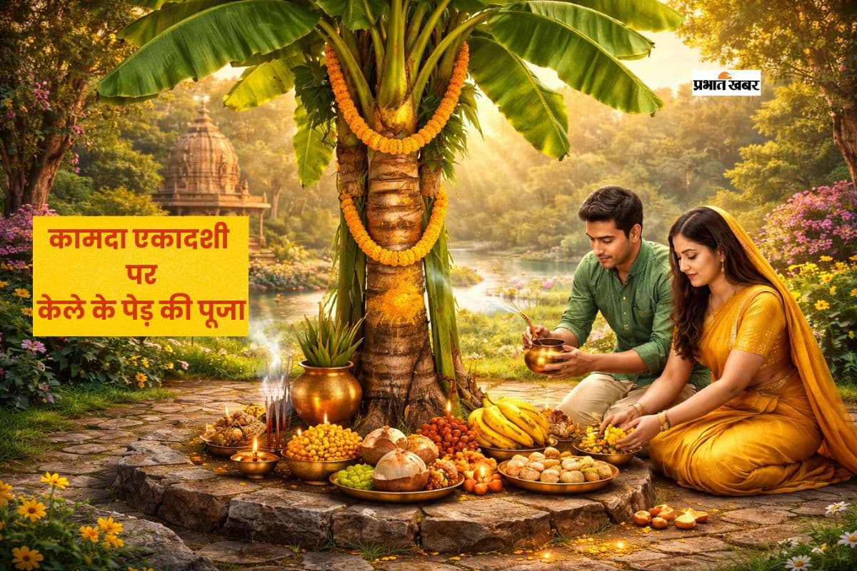 कामदा एकादशी पर केले के पेड़ का है खास महत्व, ग्रह दोषों हो सकते हैं शांत
