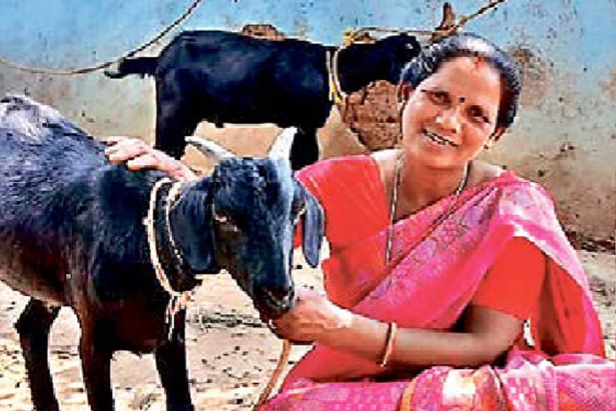 मंईयां सम्मान योजना से रांची की 67,752 महिलाएं बनी स्वावलंबी, हर महीने मिलते हैं 2500 रुपये