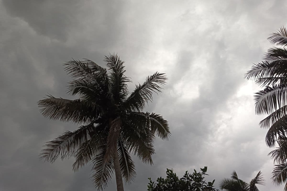 नार्वेस्टर तूफान का तांडव, ओडिशा में 3 लोगों की मौत