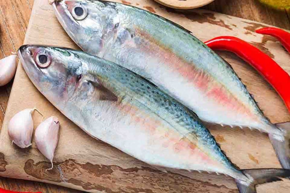 पटना में जिंदा मछली की होगी होम डिलीवरी, अप्रैल से खुलेंगे 10 हाई-टेक फिश आउटलेट