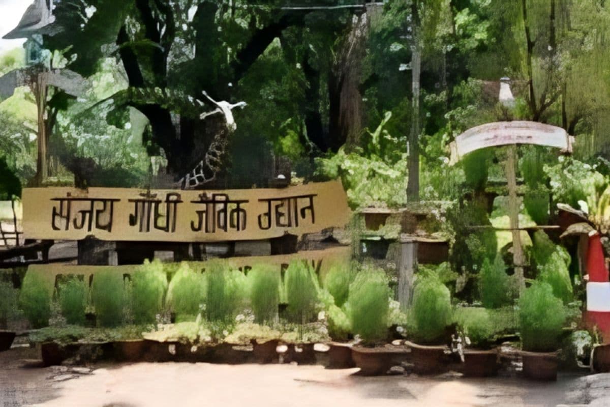 बर्ड फ्लू अलर्ट के बाद आज से आम दर्शकों के लिए खुला पटना जू