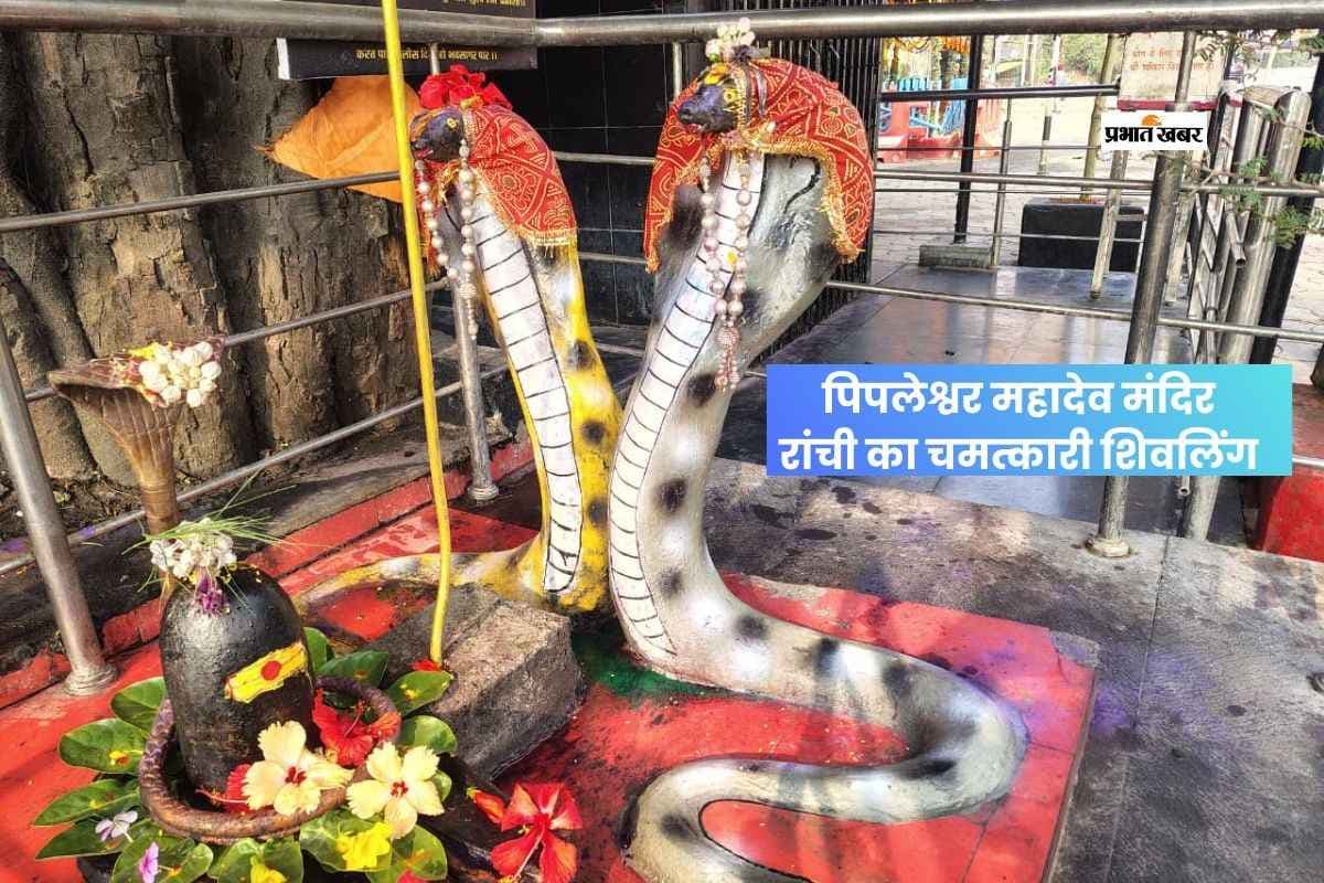 रांची का पिपलेश्वर महादेव मंदिर, जहां नाग देवता के दर्शन की है मान्यता