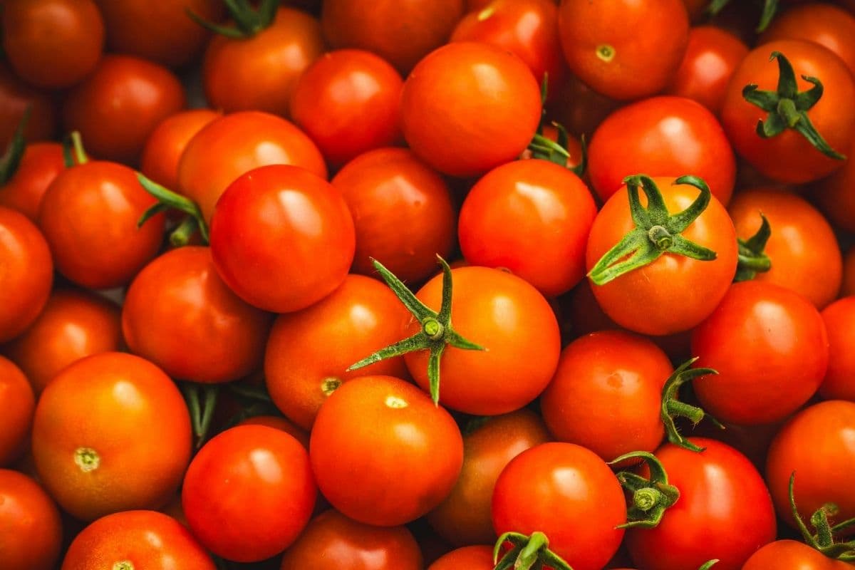 टमाटर स्टोर करने के लिए अपनाएं क्रिएटर शशांक के टिप्स