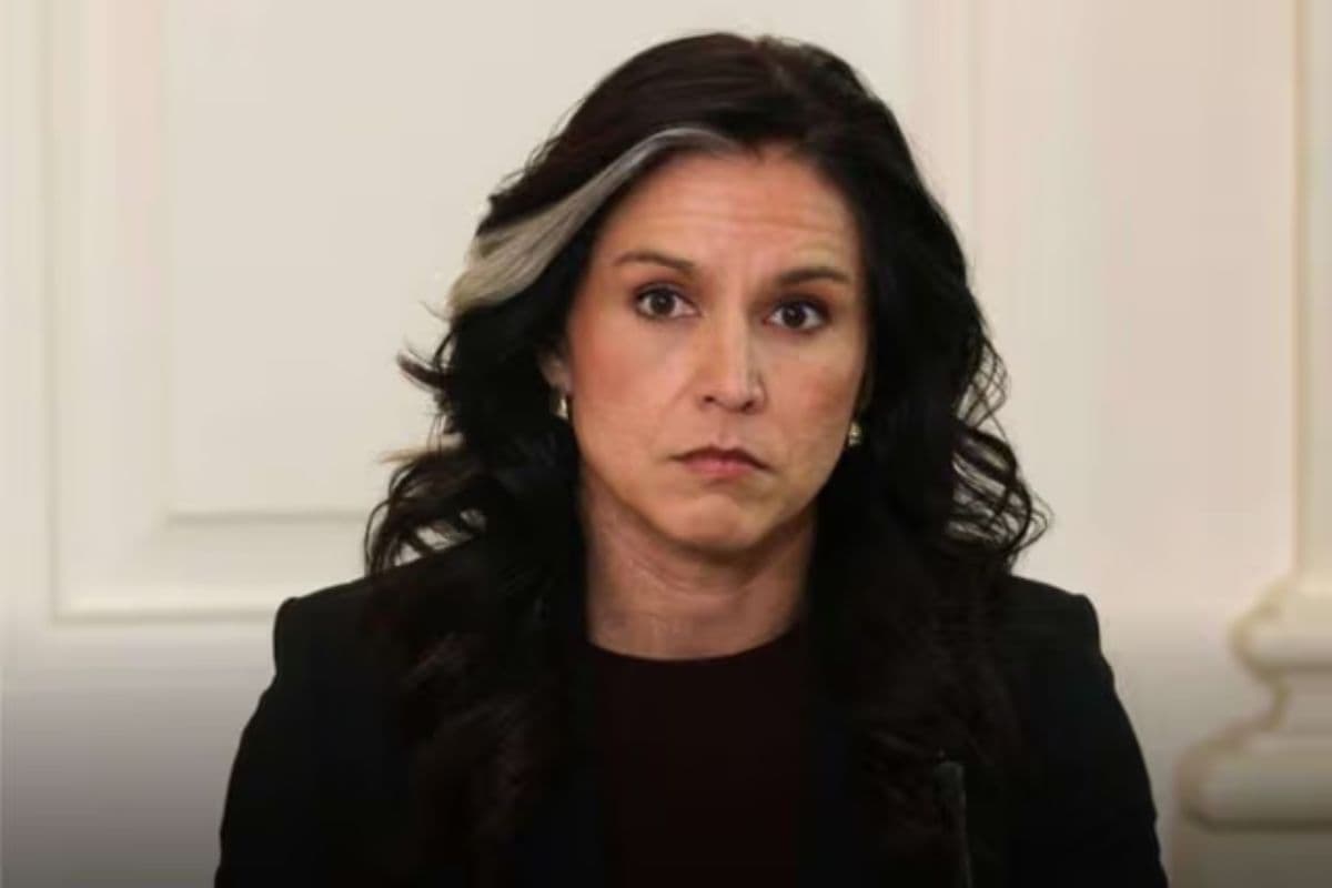 Tulsi Gabbard Warning Tulsi Gabbard Warning