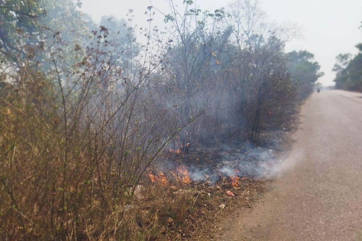पश्चिमी सिंहभूम के नोआमुंडी जंगल में भीषण आग: दो पेट्रोल पंपों के करीब थीं लपटें, बड़ा हादसा टला