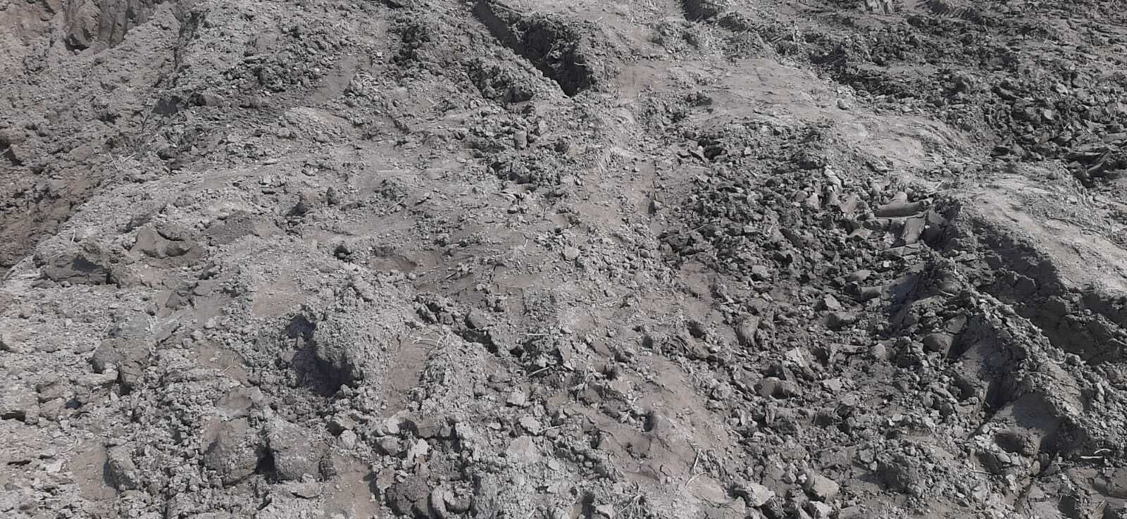 बोरने में अवैध मिट्टी खनन से किसानों की जमीन को हो रहा नुकसान