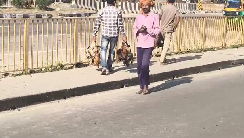 एनएच 19 पर पोल्ट्री वैन-ट्रक में टक्कर, चालक घायल व सैकड़ों मुर्गों की मौत