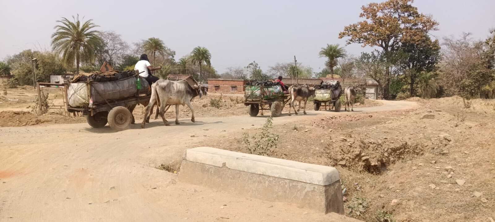 Giridih News :बैलगाड़ी से हो रही कोयले की तस्करी