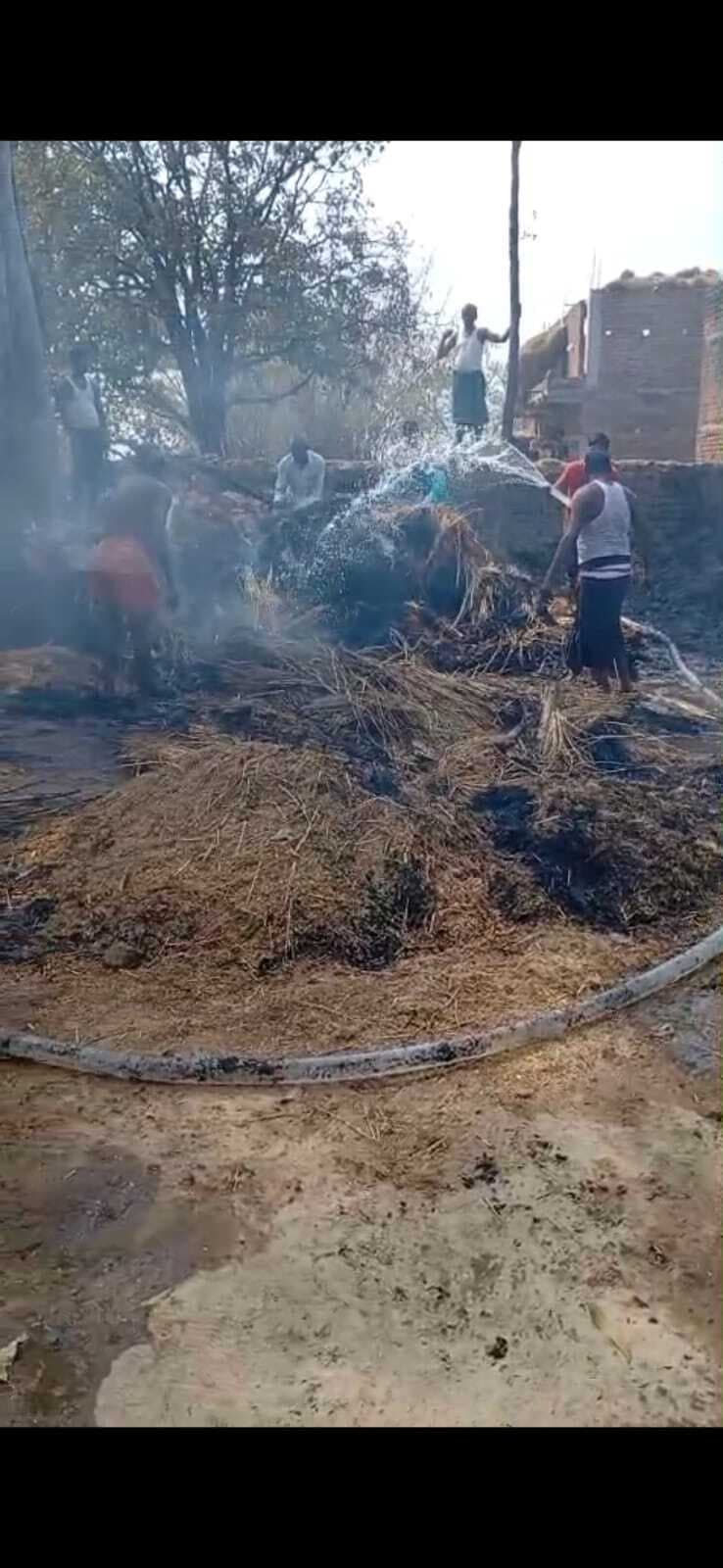 Giridih News :आग से धान, बिचाली तथा एक महुआ का पेड़ जले