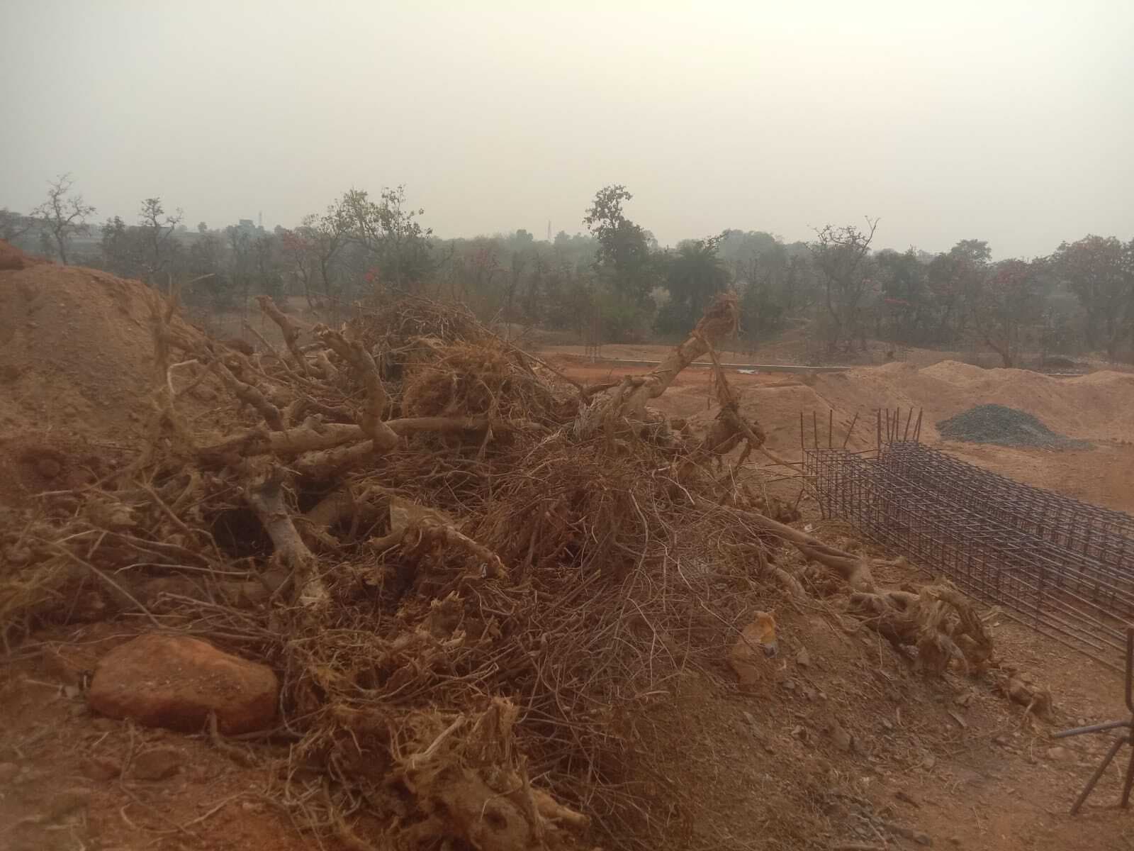 पलाश व महुआ पेड़ काट कर निर्माण कराया जा रहा डिग्री काॅलेज