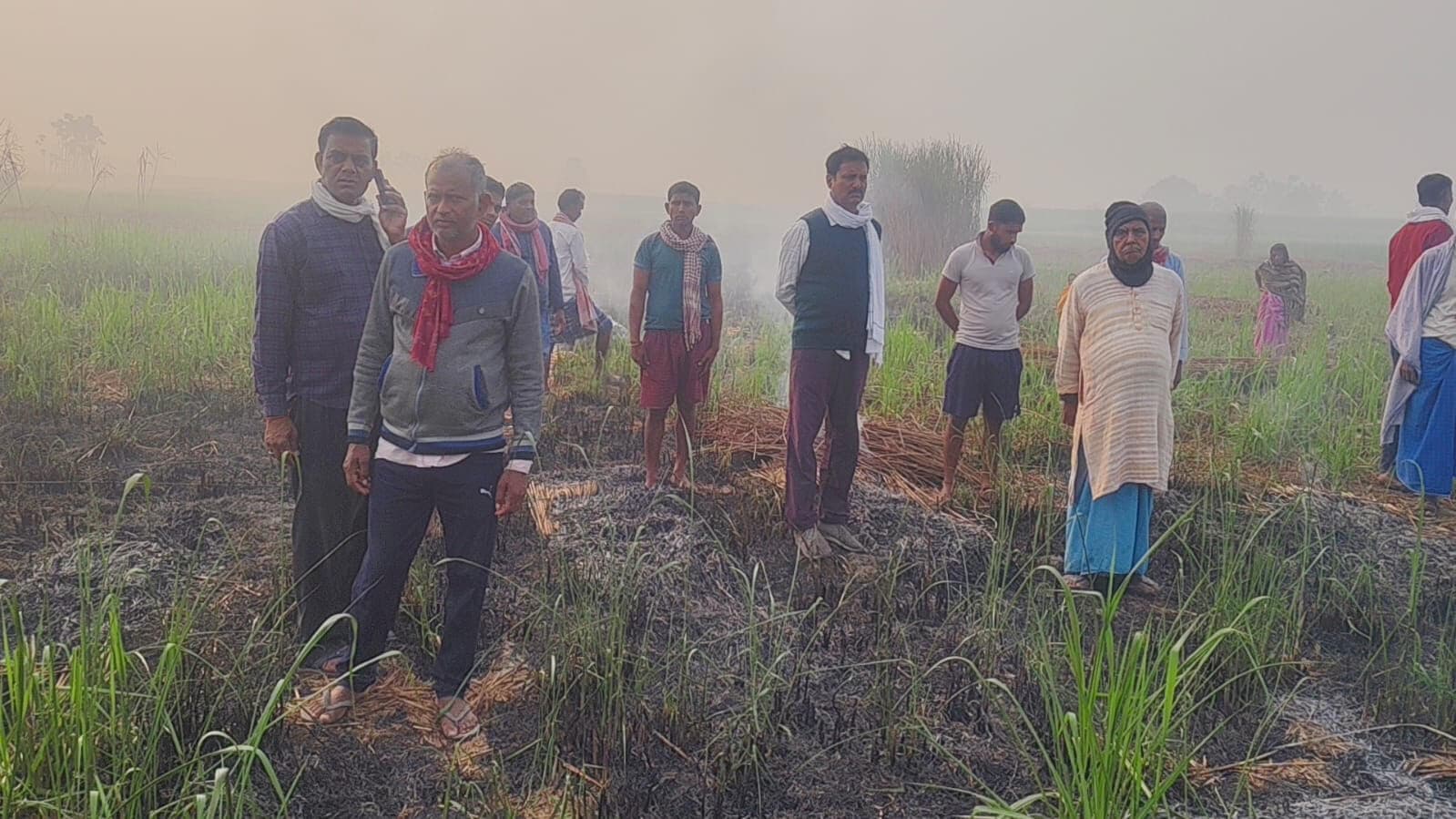 उपद्रवियों ने फसल में लगायी आग