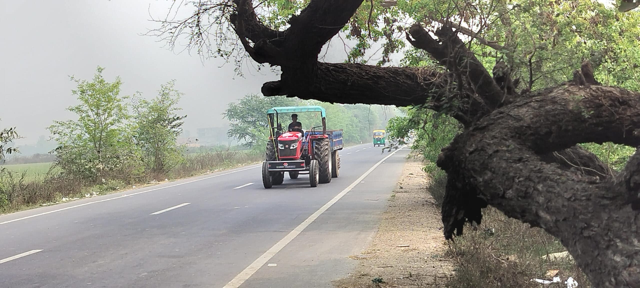 रोहिया गेट के पास सड़क पर निकली पेड़ की टहनियां दे रही दुर्घटना को न्योता