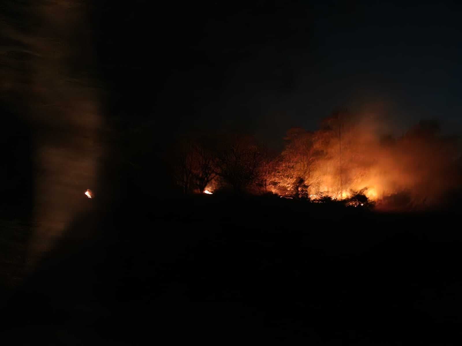 Giridih News : पीरटांड़ के जंगलों में फिर धधकी भीषण आग