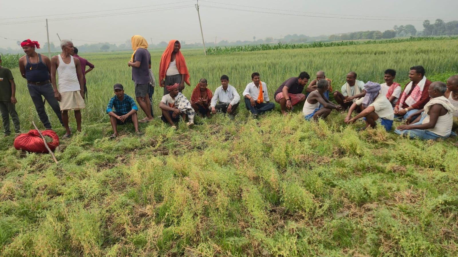 पटवन करते समय करेंट लगने से किसान की मौत