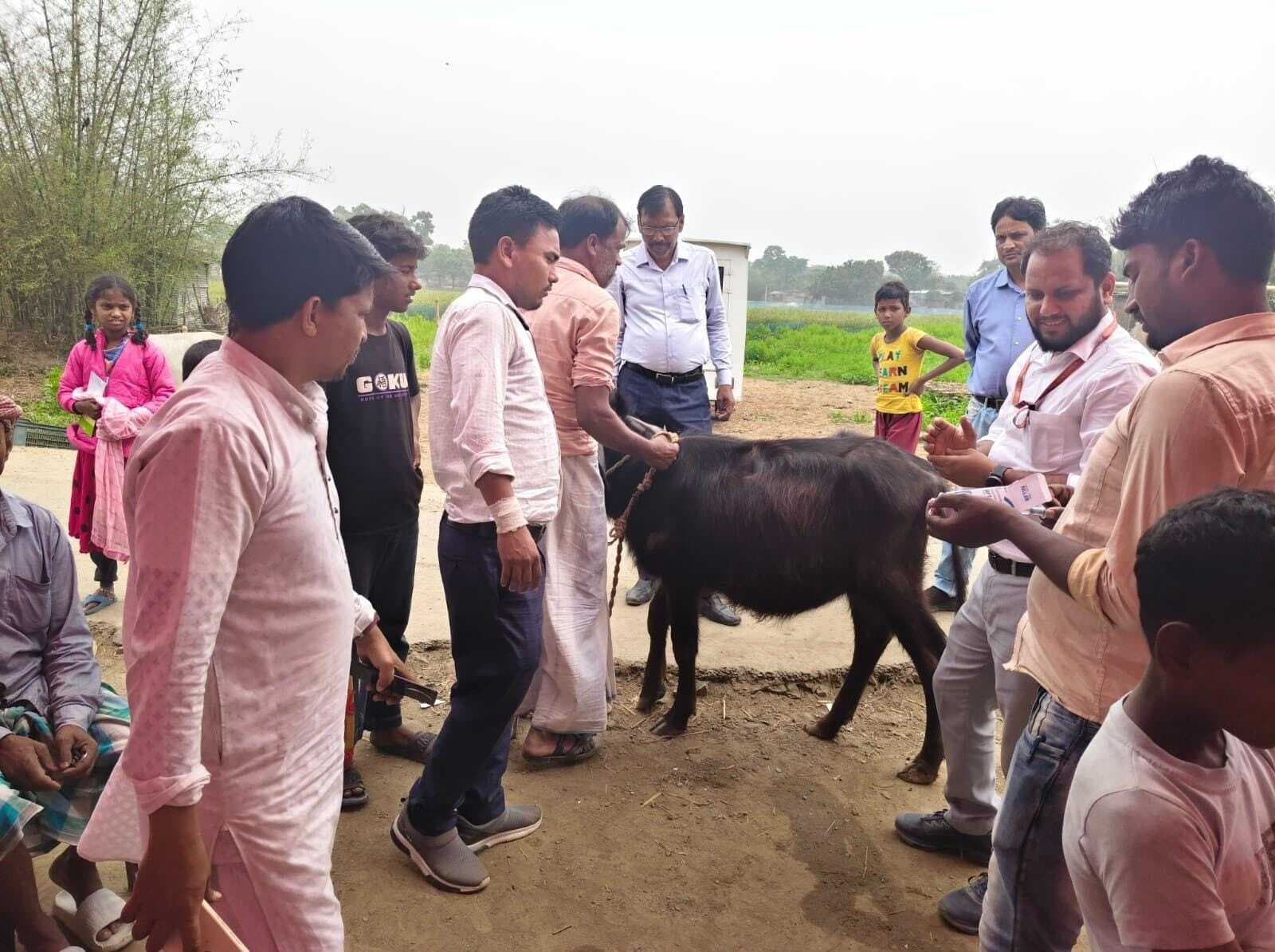 जलाल टोला में 67 से अधिक पशुओं की जांच व उपचार