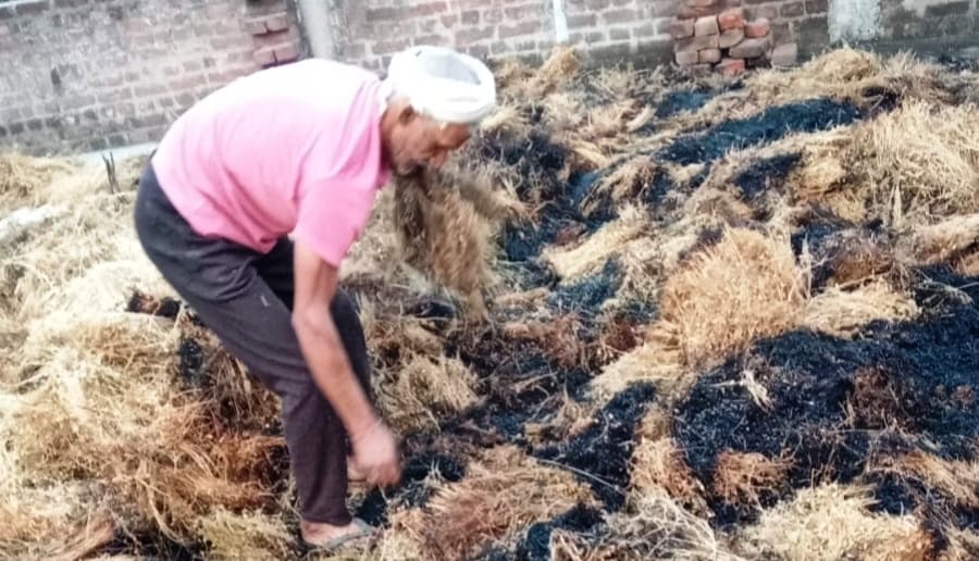अगलगी में मसूर फसल जलकर राख