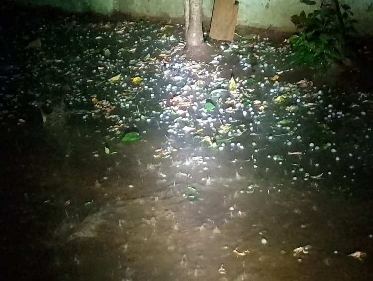 ओलावृष्टि की मार से किसानों की मेहनत तबाह, सब्जी व गेहूं की फसल को भारी नुकसान