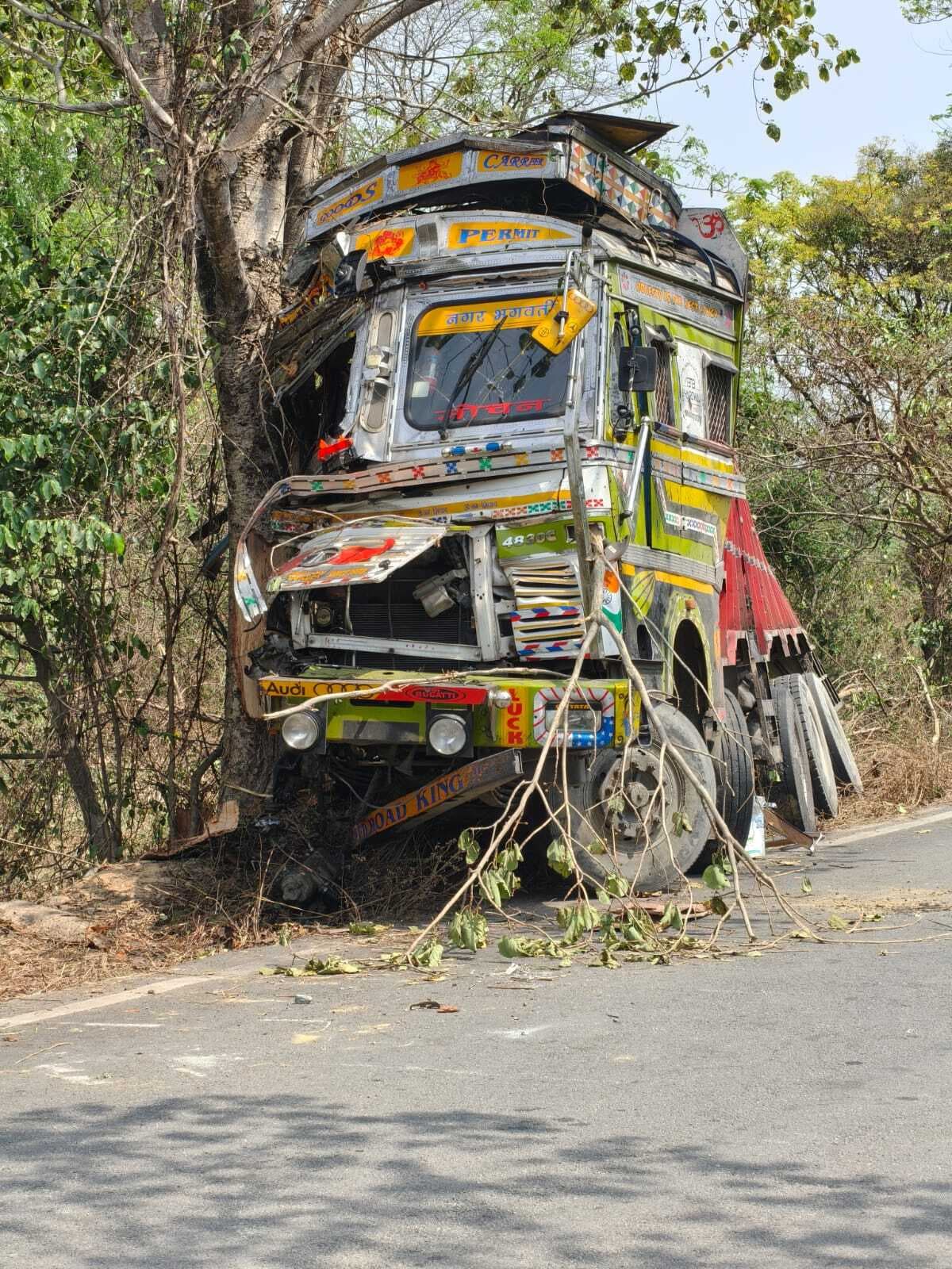 East Singhbhum News : जानवर को बचाने में ट्रक पेड़ से टकराया, चालक गंभीर