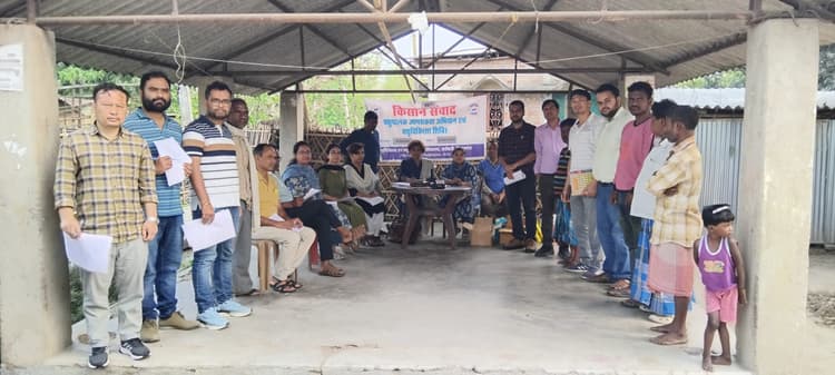 चिकित्सा शिविर में 291 पशुओं का हुआ उपचार