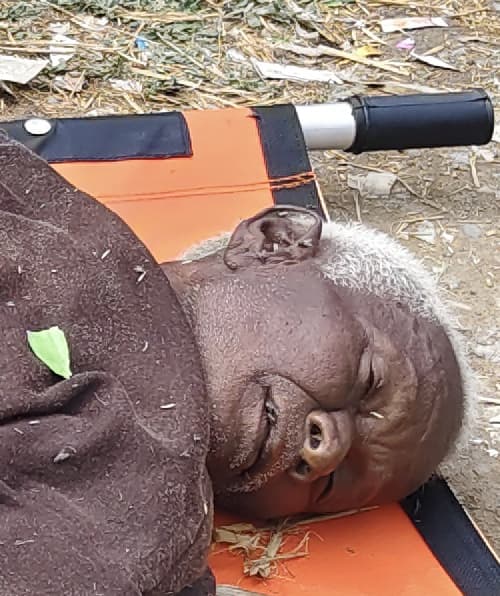 मक्के के खेत में मिला अज्ञात वृद्ध का शव, पुलिस ने करायी एफएसएल जांच