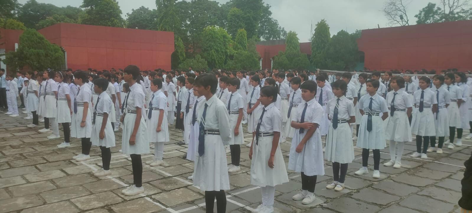 पर्यावरण के लिए गौरैया का संरक्षण जरूरी