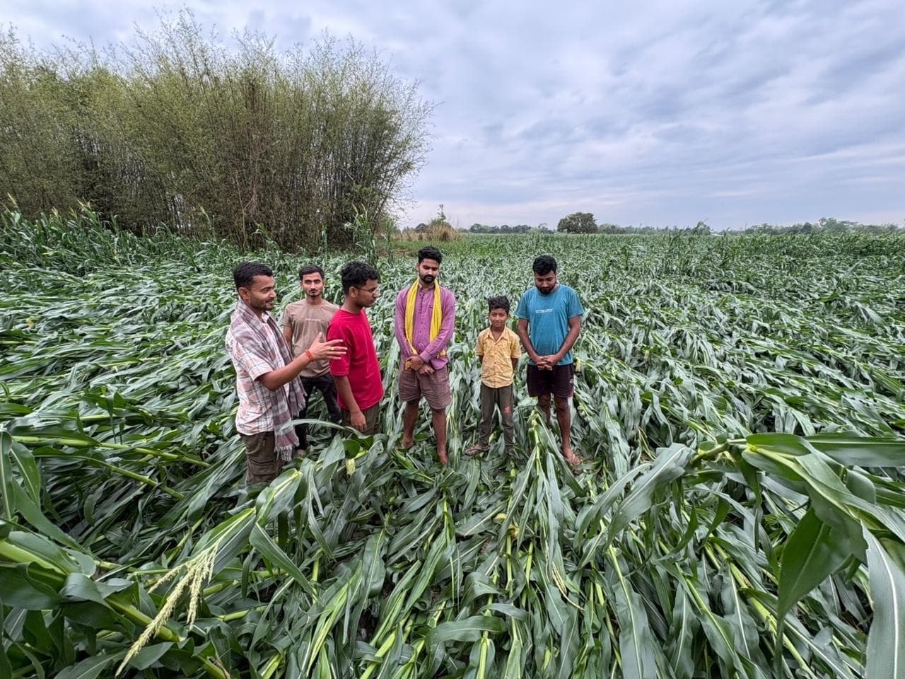 किसानों को हुई क्षति के लिए मुआवजा की मांग
