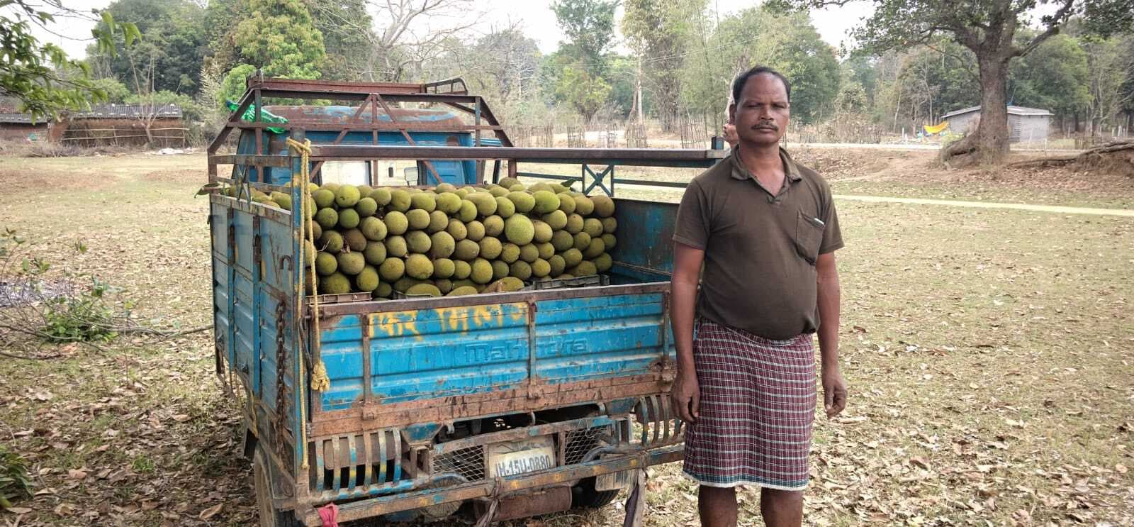 रनिया के कटहल की मांग देश के कई राज्यों में