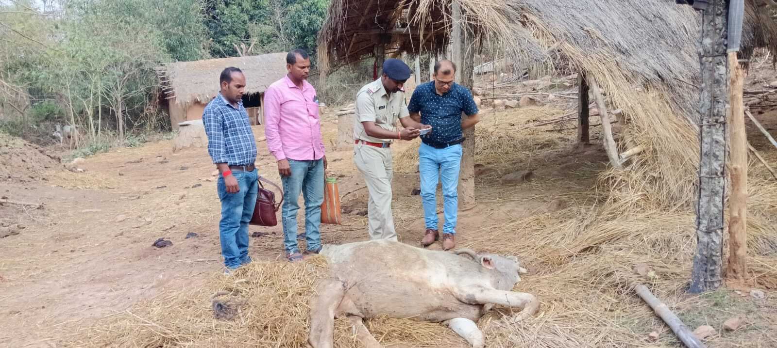 मवेशियों को जहर देने के आरोप में तीन व्यक्ति गिरफ्तार