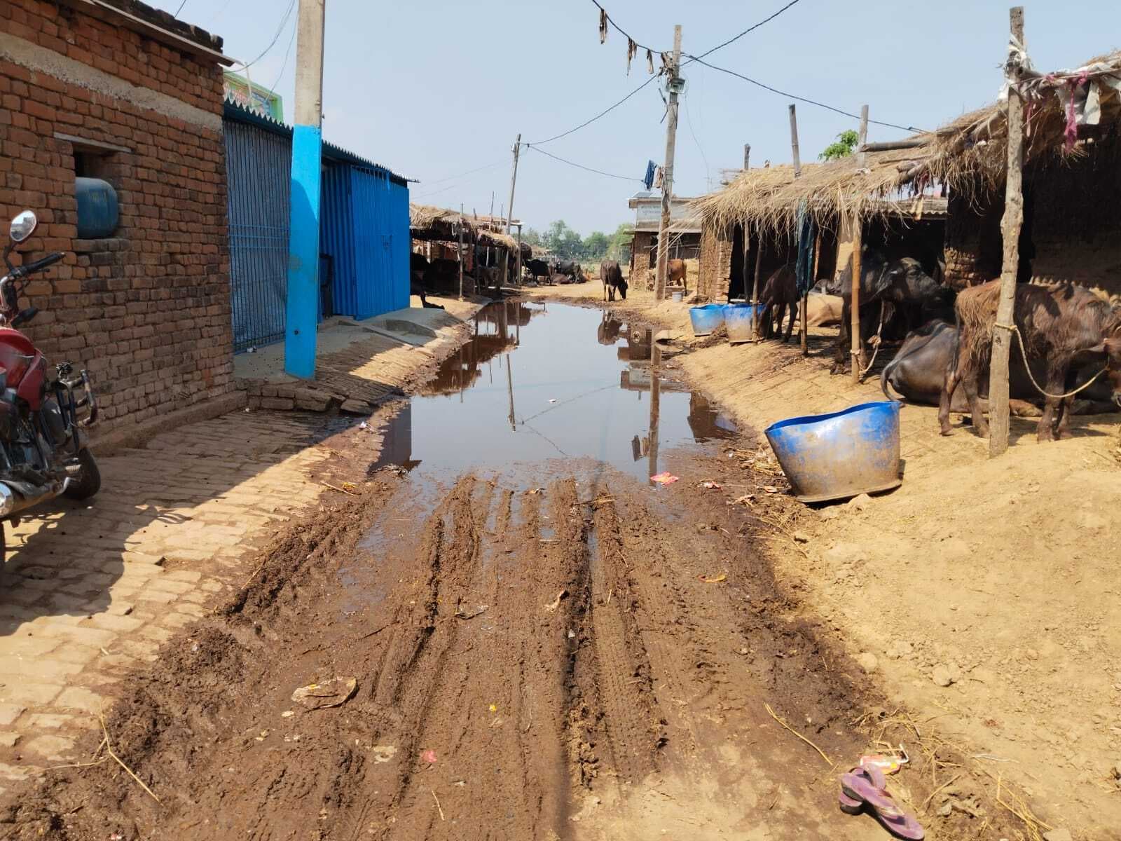 सिमरिया  गांव को जोड़ने वाली ग्रामीण सड़क तालाब में हुई तब्दील