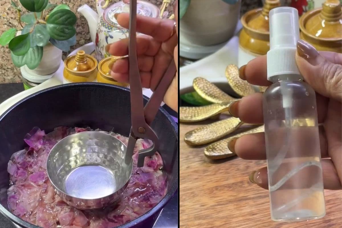 घर पर बनाएं गुलाब जल, गरिमा ने बताया तरीका