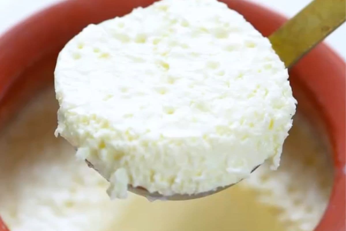 घर पर जमाएं गाढ़ा-क्रीमी दही, शेफ अरुणा विजय से सीखें तरीका