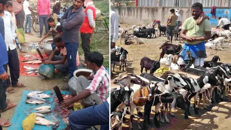 पटना में खुले में मांस-मछली बिक्री पर एक्शन, 1135 दुकानों को नोटिस, 12 ने लिया लाइसेंस