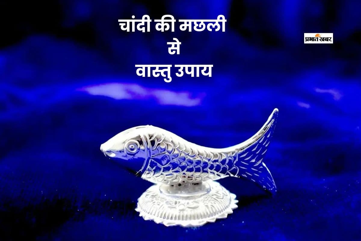 घर में चांदी की मछली रखने से धन, सुख और शांति आती है